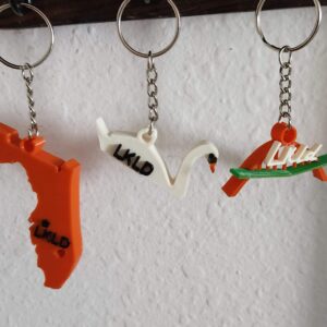 This set of 3 Lakeland, FL keychains make your keys stand out.